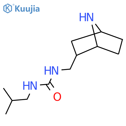 1-({7-Azabicyclo[2.2.1]heptan-2-yl}methyl)-3-(2-methylpropyl)urea structure