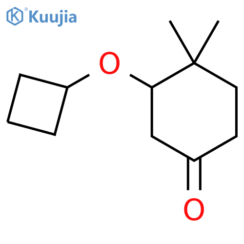 3-Cyclobutoxy-4,4-dimethylcyclohexan-1-one structure