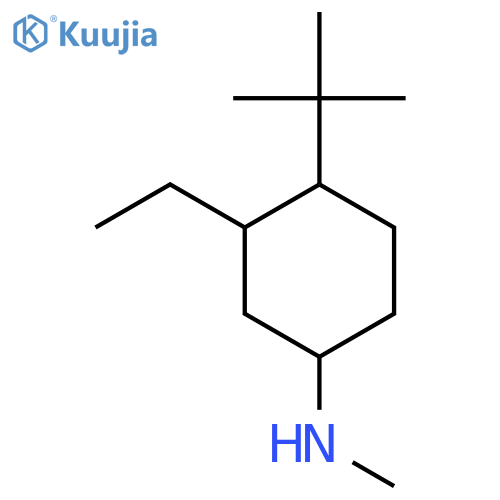 4-tert-butyl-3-ethyl-N-methylcyclohexan-1-amine structure