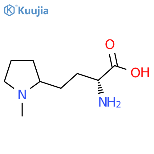 (2R)-2-amino-4-(1-methylpyrrolidin-2-yl)butanoic acid structure
