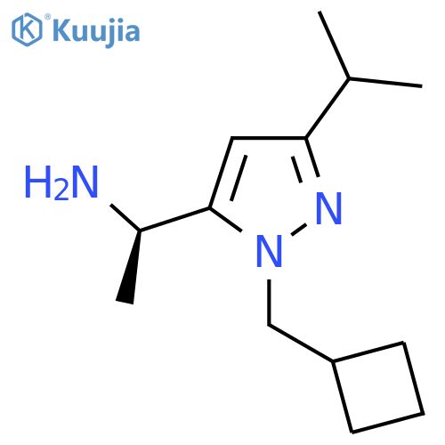 (1R)-1-1-(cyclobutylmethyl)-3-(propan-2-yl)-1H-pyrazol-5-ylethan-1-amine structure