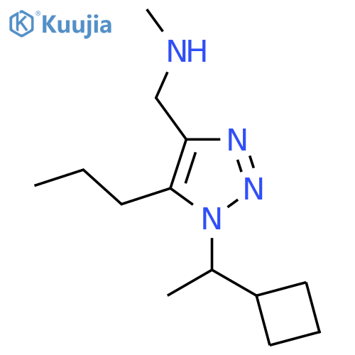 {1-(1-cyclobutylethyl)-5-propyl-1H-1,2,3-triazol-4-ylmethyl}(methyl)amine structure
