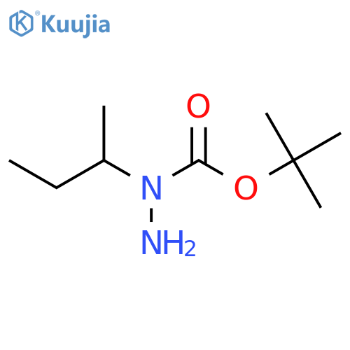 N-(butan-2-yl)(tert-butoxy)carbohydrazide structure