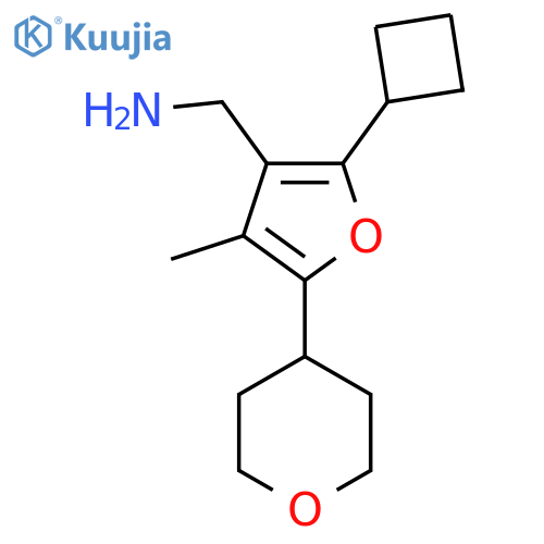 2-cyclobutyl-4-methyl-5-(oxan-4-yl)furan-3-ylmethanamine structure