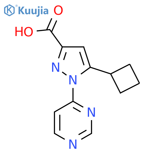5-cyclobutyl-1-(pyrimidin-4-yl)-1H-pyrazole-3-carboxylic acid structure