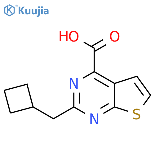 2-(cyclobutylmethyl)thieno2,3-dpyrimidine-4-carboxylic acid structure