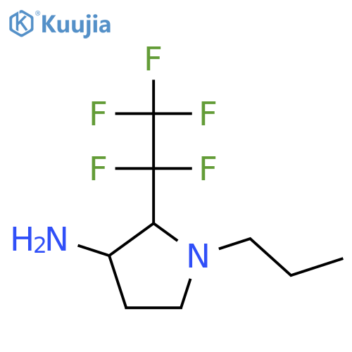 2-(pentafluoroethyl)-1-propylpyrrolidin-3-amine structure