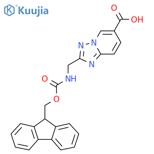 2-({(9H-fluoren-9-ylmethoxy)carbonylamino}methyl)-1,2,4triazolo1,5-apyridine-6-carboxylic acid structure