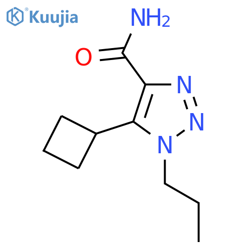 5-cyclobutyl-1-propyl-1H-1,2,3-triazole-4-carboxamide structure