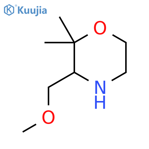 3-(Methoxymethyl)-2,2-dimethylmorpholine structure