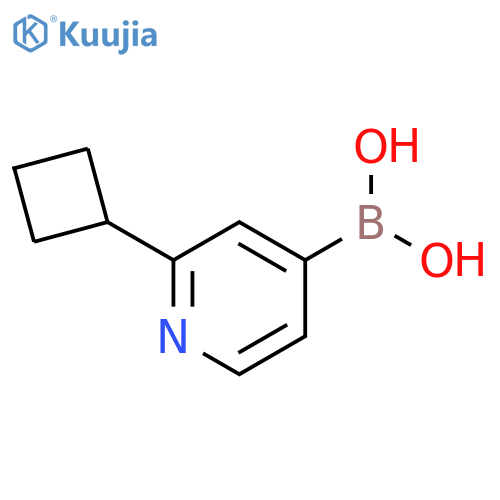 (2-cyclobutylpyridin-4-yl)boronic acid structure