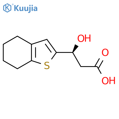 (3S)-3-hydroxy-3-(4,5,6,7-tetrahydro-1-benzothiophen-2-yl)propanoic acid structure