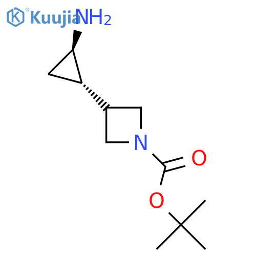 rac-tert-butyl 3-(1R,2S)-2-aminocyclopropylazetidine-1-carboxylate, trans structure