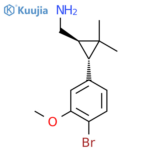 rac-(1R,3R)-3-(4-bromo-3-methoxyphenyl)-2,2-dimethylcyclopropylmethanamine structure
