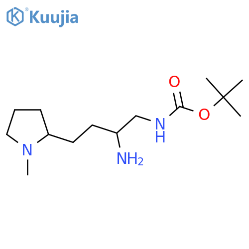tert-butyl N-2-amino-4-(1-methylpyrrolidin-2-yl)butylcarbamate structure