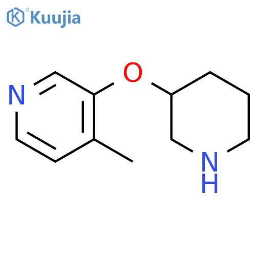 4-methyl-3-(piperidin-3-yloxy)pyridine structure
