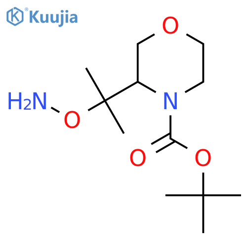 tert-butyl 3-2-(aminooxy)propan-2-ylmorpholine-4-carboxylate structure