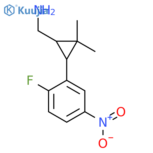 3-(2-fluoro-5-nitrophenyl)-2,2-dimethylcyclopropylmethanamine structure