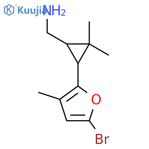3-(5-bromo-3-methylfuran-2-yl)-2,2-dimethylcyclopropylmethanamine structure
