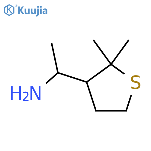 1-(2,2-dimethylthiolan-3-yl)ethan-1-amine structure
