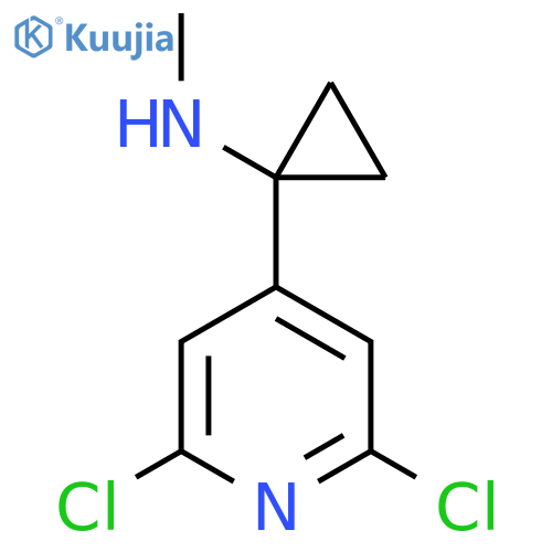1-(2,6-dichloropyridin-4-yl)-N-methylcyclopropan-1-amine structure