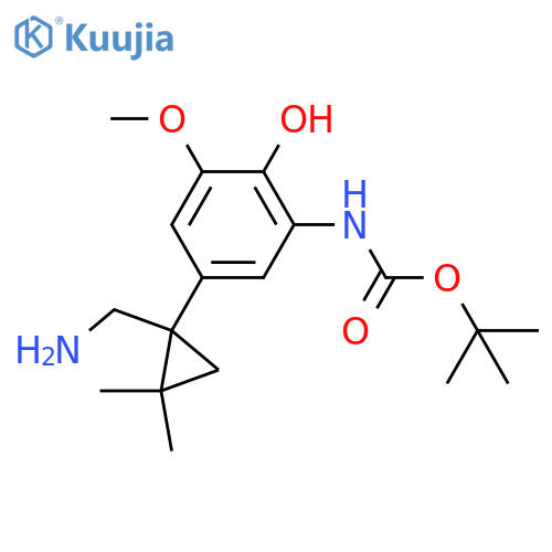 tert-butyl N-{5-1-(aminomethyl)-2,2-dimethylcyclopropyl-2-hydroxy-3-methoxyphenyl}carbamate structure