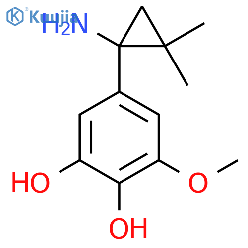 5-(1-amino-2,2-dimethylcyclopropyl)-3-methoxybenzene-1,2-diol structure
