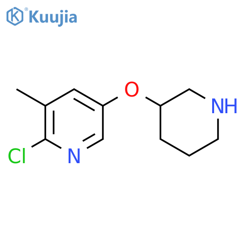 2-chloro-3-methyl-5-(piperidin-3-yloxy)pyridine structure