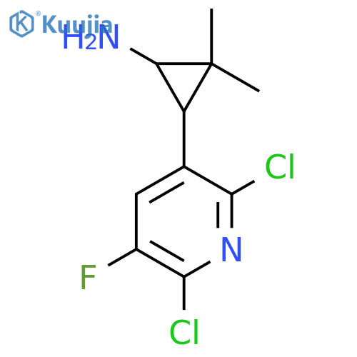 3-(2,6-dichloro-5-fluoropyridin-3-yl)-2,2-dimethylcyclopropan-1-amine structure