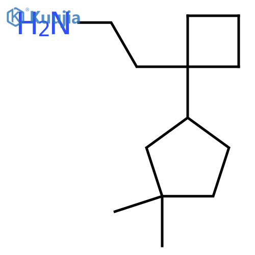 2-1-(3,3-dimethylcyclopentyl)cyclobutylethan-1-amine structure