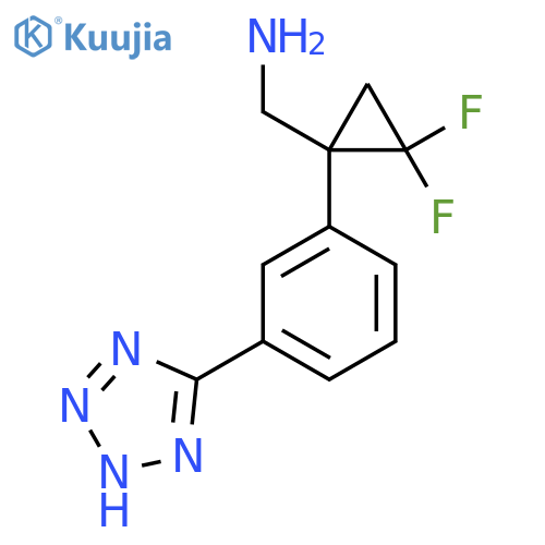 {2,2-difluoro-1-3-(1H-1,2,3,4-tetrazol-5-yl)phenylcyclopropyl}methanamine structure