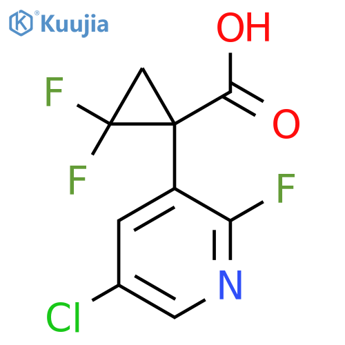 1-(5-chloro-2-fluoropyridin-3-yl)-2,2-difluorocyclopropane-1-carboxylic acid structure