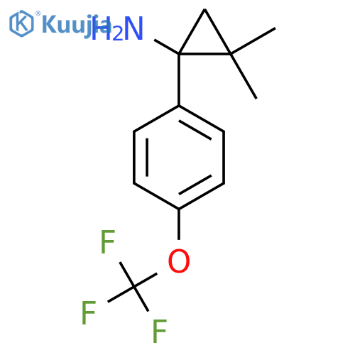 2,2-dimethyl-1-4-(trifluoromethoxy)phenylcyclopropan-1-amine structure