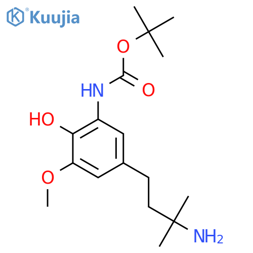 tert-butyl N-5-(3-amino-3-methylbutyl)-2-hydroxy-3-methoxyphenylcarbamate structure