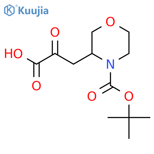 3-{4-(tert-butoxy)carbonylmorpholin-3-yl}-2-oxopropanoic acid structure
