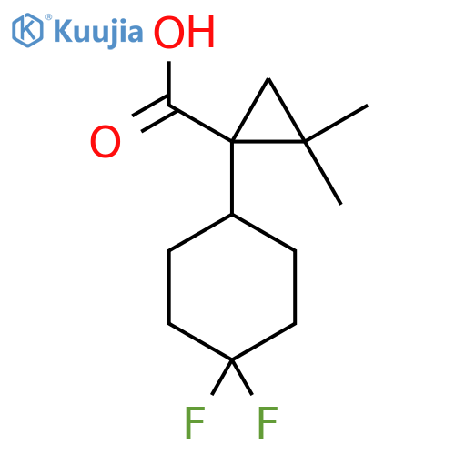 1-(4,4-difluorocyclohexyl)-2,2-dimethylcyclopropane-1-carboxylic acid structure