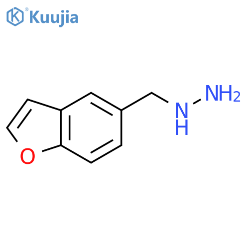 (1-benzofuran-5-yl)methylhydrazine structure