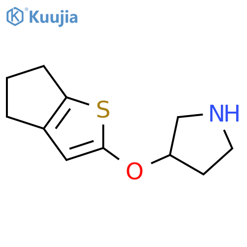3-{4H,5H,6H-cyclopentabthiophen-2-yloxy}pyrrolidine structure