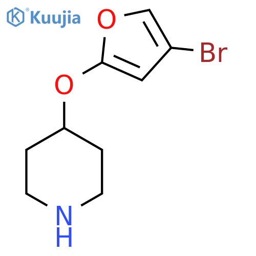 4-(4-bromofuran-2-yl)oxypiperidine structure