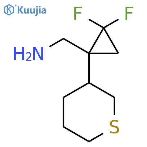 2,2-difluoro-1-(thian-3-yl)cyclopropylmethanamine structure