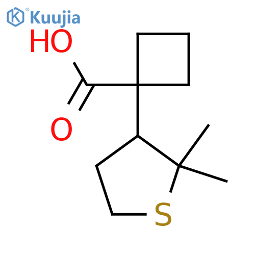 1-(2,2-dimethylthiolan-3-yl)cyclobutane-1-carboxylic acid structure