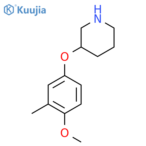 3-(4-methoxy-3-methylphenoxy)piperidine structure