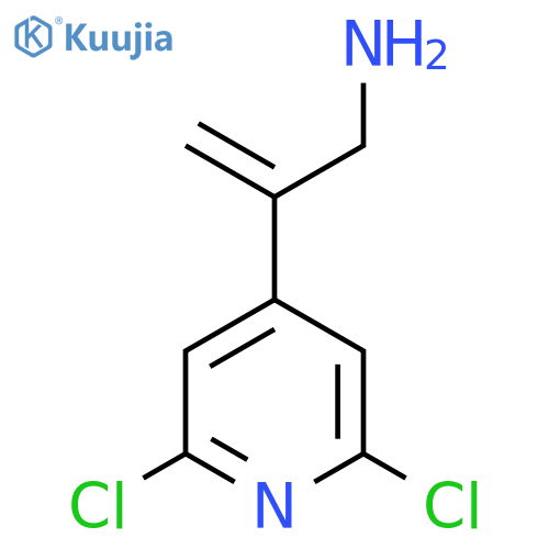 2-(2,6-dichloropyridin-4-yl)prop-2-en-1-amine structure