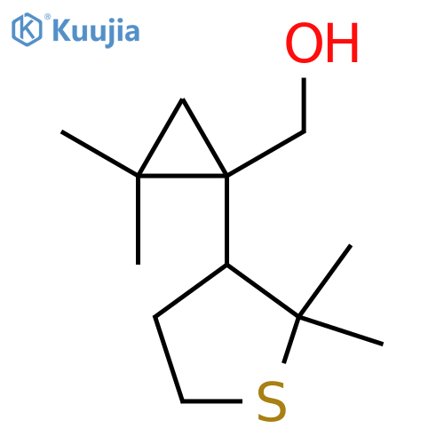 1-(2,2-dimethylthiolan-3-yl)-2,2-dimethylcyclopropylmethanol structure
