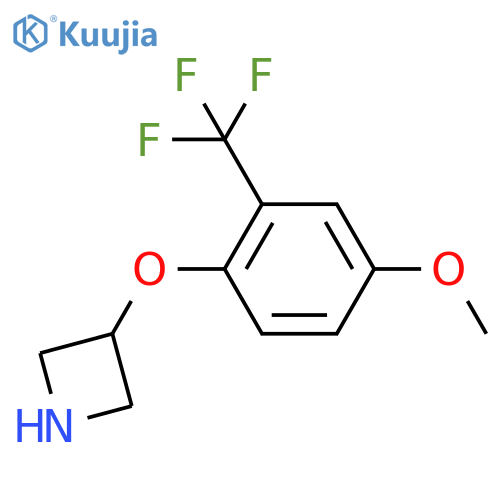 3-4-methoxy-2-(trifluoromethyl)phenoxyazetidine structure