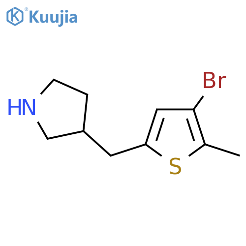 3-(4-bromo-5-methylthiophen-2-yl)methylpyrrolidine structure