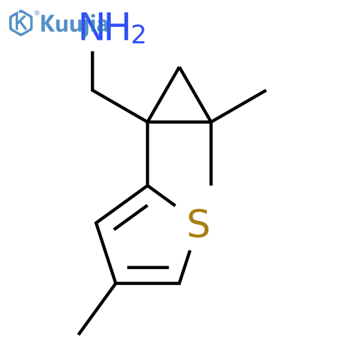 2,2-dimethyl-1-(4-methylthiophen-2-yl)cyclopropylmethanamine structure