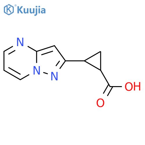 2-{pyrazolo1,5-apyrimidin-2-yl}cyclopropane-1-carboxylic acid structure