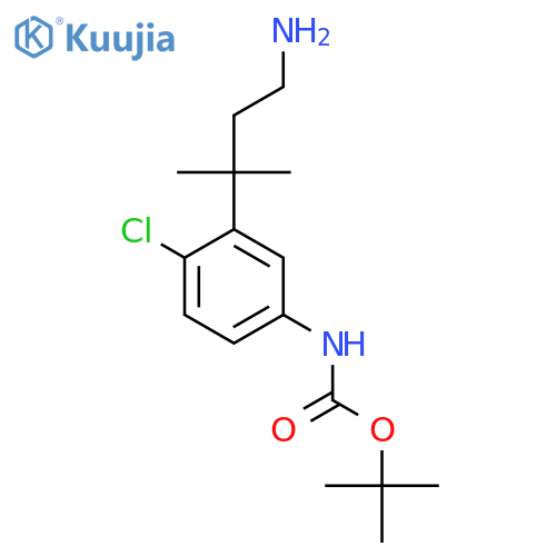 tert-butyl N-3-(4-amino-2-methylbutan-2-yl)-4-chlorophenylcarbamate structure