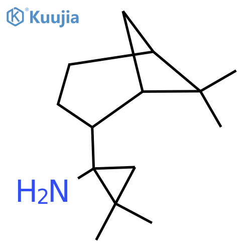 1-{6,6-dimethylbicyclo3.1.1heptan-2-yl}-2,2-dimethylcyclopropan-1-amine structure